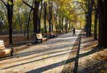 Плануйте відпочинок на відкритому повітрі. Синоптик розповіла, коли в Україні потеплішає