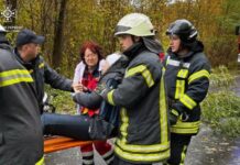 Зʼїхала з дороги та зіткнулася з деревом: надзвичайники Дніпровського району врятували 70-річну водійку Renault