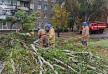 Надзвичайники Нікополя прибрали повалене дерево з проїжджої частини