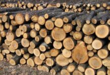 Ні дрів, ні грошей: правоохоронці Кам`янського викрили раніше судимого шахрая