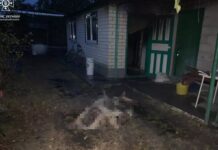 У Дніпровському районі під час пожежі загинула жінка