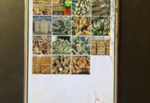 Збагатився на продажі неіснуючих дров: у Кривому Розі виявили шахрая