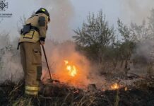 На Дніпропетровщині протягом доби вогнеборці ліквідували 50 пожеж в екосистемах