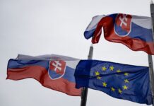 Словаччина зібрала для України пакет військової допомоги, але відклала відправку: названо причину