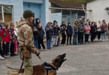 Дітям із Дніпра показали як працюють поліцейські зі службовими собаками