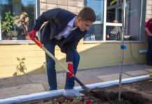 У Кам’янському біля університету ДДТУ висадили сакури