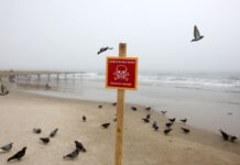 На узбережжя Одеської області винесло морську міну