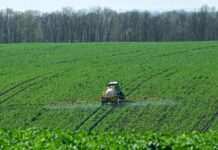 Армії потрібніше? У російських містах відбирають сільськогосподарські землі