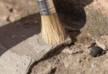 Понад 1,4 тис. археологічних об’єктів Синельниківського району внесли до Держреєстру нерухомих пам’яток України