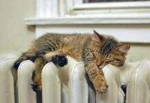 Опалювальний сезон у Дніпрі: коли тепло прийде у помешкання містян