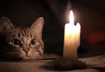 Де у Дніпрі не буде світла у понеділок 2 жовтня: адреси