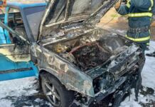 Загорівся на ходу: у Кривому Розі рятувальники ліквідували пожежу в легковому автомобілі