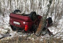 Зʼїхали у кювет та перевернулись: двоє мешканців Дніпропетровщини потрапили в ДТП на Житомирській трасі