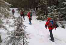 У Карпатах мороз до -11 та сильний туман (фото)