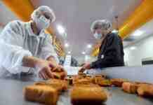 Робота в Румунії: які вакансії і зарплати пропонують українцям без знання мови