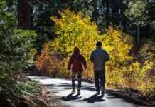 Одразу два за день. В Київській області нові температурні рекорди