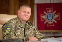 Експерти ISW проаналізували статтю Залужного про позиційну війну в Україні