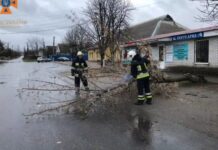Запорізькі рятувальники ліквідували наслідки негоди