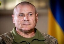 Командувач ОСУВ «Таврія»: армія РФ зменшила активість авіації та артилерії, намагається просуватися піхотою