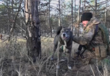 ЗСУ знають, як деокупувати Кінбурнську косу – Гуменюк