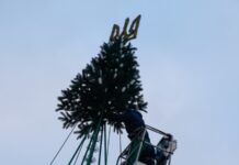 У Києві почали встановлювати головну новорічну ялинку країни – фото