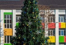 У Кам’янському не встановлюватимуть новорічну ялинку