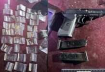 У 35-річного криворіжця вилучили наркотичні речовини, зброю та боєприпаси: деталі