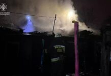 Рятувальники Дніпра загасили пожежу на території приватного домоволодіння у Чечелівському районі