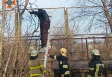 Надзвичайники Запоріжжя врятували чоловіка, який застряг на паркані