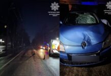 Збив жінку на переході й поїхав з місця ДТП — патрульні Дніпра виявили порушника