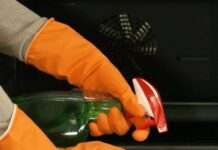 Дверцята духовки ще не були такими чистими: експерти розповіли про дуже дієвий та дешевий спосіб