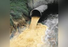 У Кривому Розі невідомі спускали каналізаційні води у балку: деталі