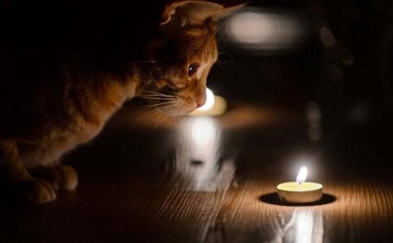 Планове відключення світла у Дніпрі 11 грудня: адреси