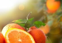 Апельсини в мікрохвильовці: несподіваний лайфхак із цитрусовими вражає результатами