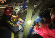 Запорізькі рятувальники деблокували водія із понівеченого авто