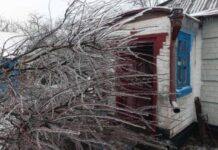 На Дніпропетровщині працівник поліції врятував 83-річну жінку, на будинок якої впало заледеніле дерево