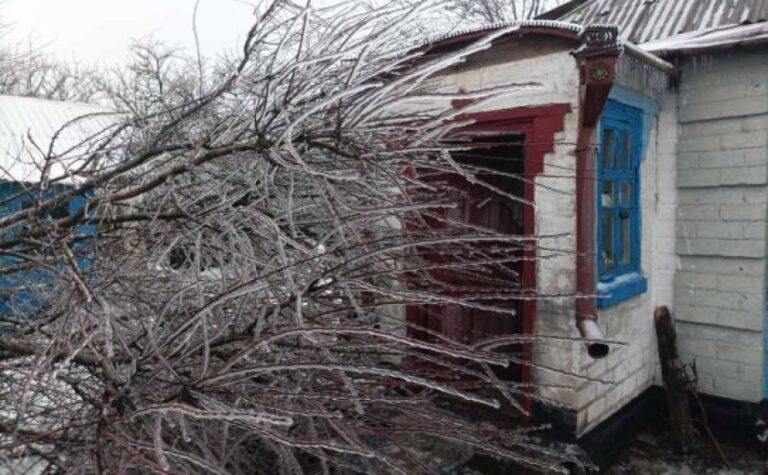 На Дніпропетровщині працівник поліції врятував 83-річну жінку, на будинок якої впало заледеніле дерево