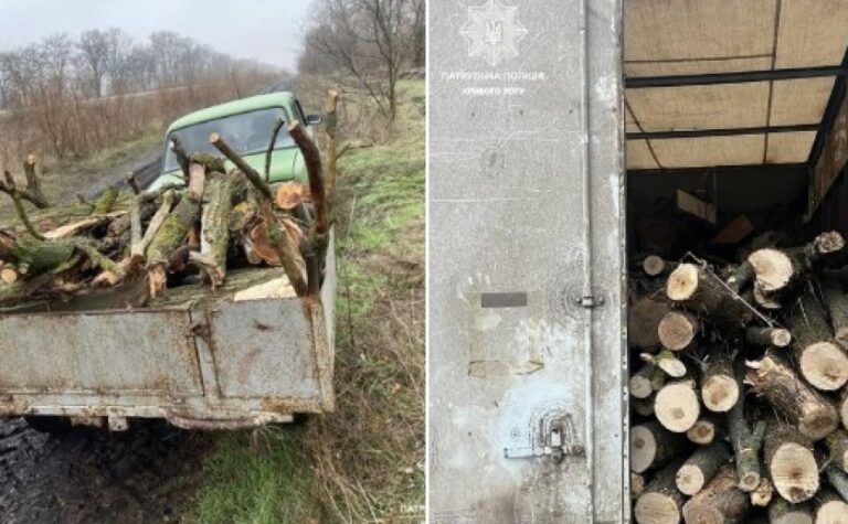 У Кривому Розі затримали водіїв, які перевозили незаконно зрубані дерева