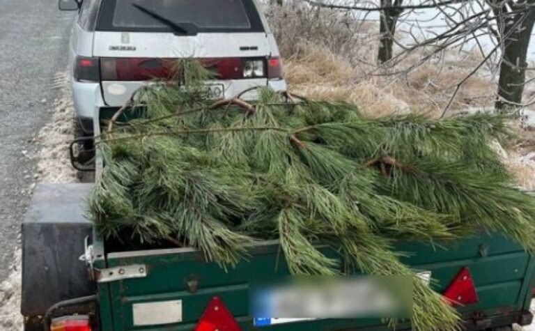 У П’ятихатках патрульні роти з обслуговування водних об’єктів затримали водія, який перевозив незаконно спиляні сосни