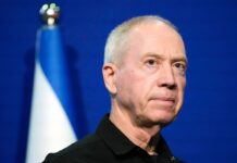 Вбивство заручників у Секторі Газа: глава ЦАХАЛу взяв провину на себе