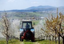 На Прикарпатті трактор з двома людьми впав у річку (відео)