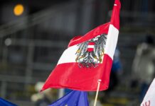 Австрія не має наміру заважати вступу України до Євросоюзу, – Politico