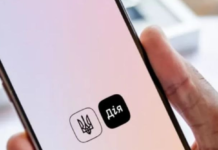 Українці зможуть купувати та продавати авто через “Дію”: коли запрацює послуга