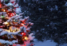 В Укргідрометцентрі розповіли, чи буде в Україні сніг на Новий рік