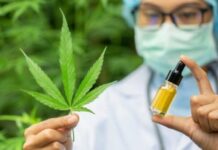 В Україні легалізували медичний канабіс