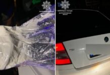 У Дніпрі затримали водія та пасажира, які перевозили наркотики