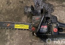 За незаконну вирубку лісу поліція Синельниківського району затримала трьох чоловіків