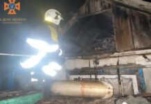 Зайнялися домашні речі у будинку та гараж: рятувальники Запоріжжя приборкали загоряння