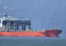 Американські військові заявили, що збили дрони та ракети хуситів над Червоним морем