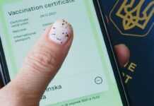 Як у “Дії” отримати англомовну версію документів